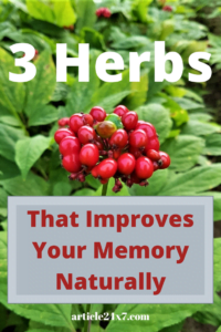 3 Herbs That Improve Your Memory Naturally