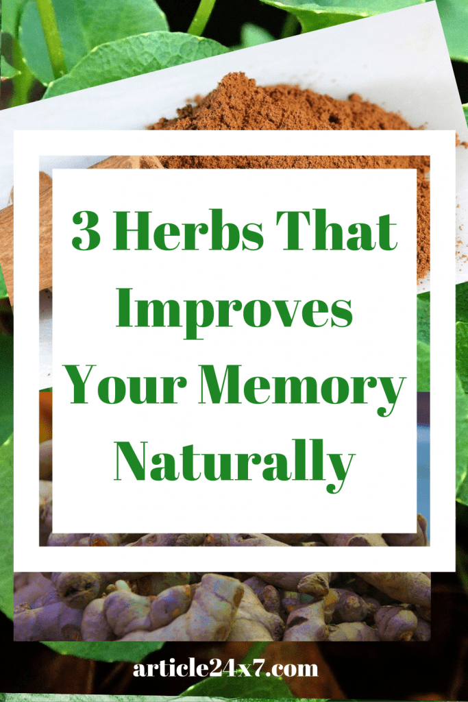 Herbs That Improves Your Memory Naturally