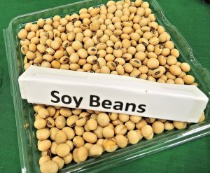 Soy products