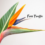 Free Traffic For Your Website