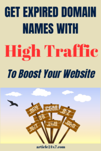 Expired Domain Name with High Traffic